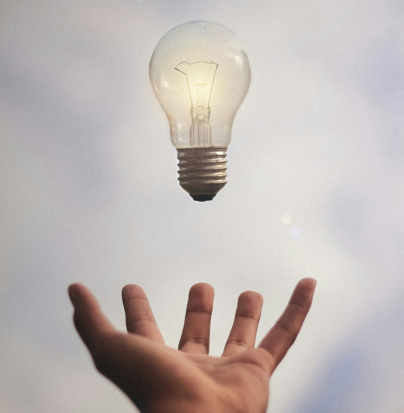 junior-ferreira-7esRPTt38nI-unsplash_1